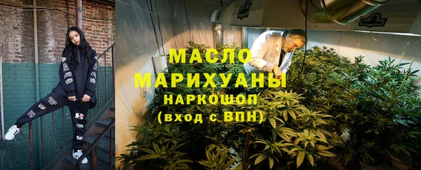 крисы Новодвинск