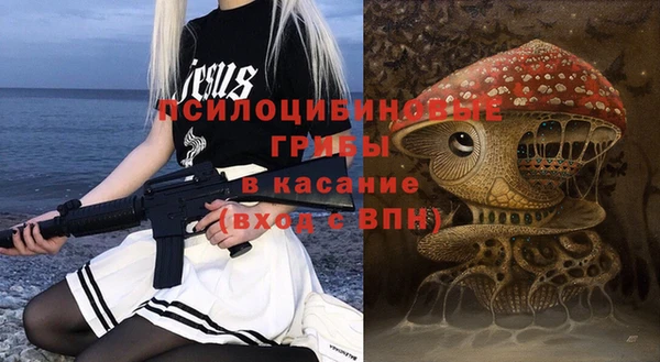 хмурый Нягань