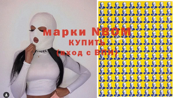 ПСИЛОЦИБИНОВЫЕ ГРИБЫ Няндома