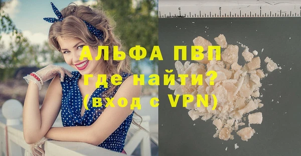 крисы Новодвинск