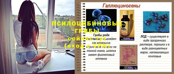 эйфоретик Нязепетровск