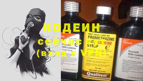 крисы Новодвинск