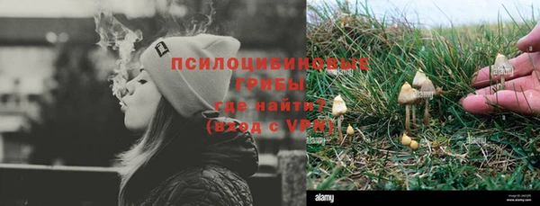 ПСИЛОЦИБИНОВЫЕ ГРИБЫ Няндома