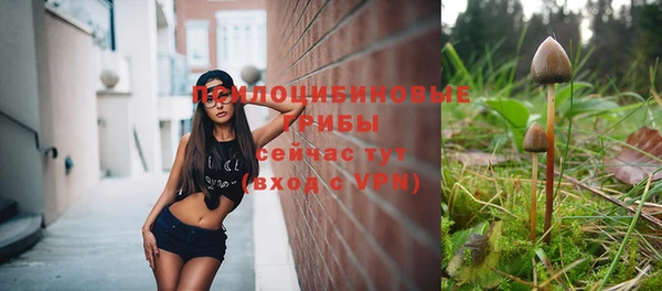 крисы Новодвинск