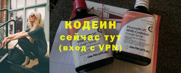 ПСИЛОЦИБИНОВЫЕ ГРИБЫ Няндома