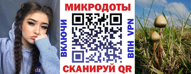 цены   Богучар  Псилоцибиновые грибы прущие грибы 