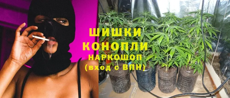 Бошки марихуана Ganja  Богучар 